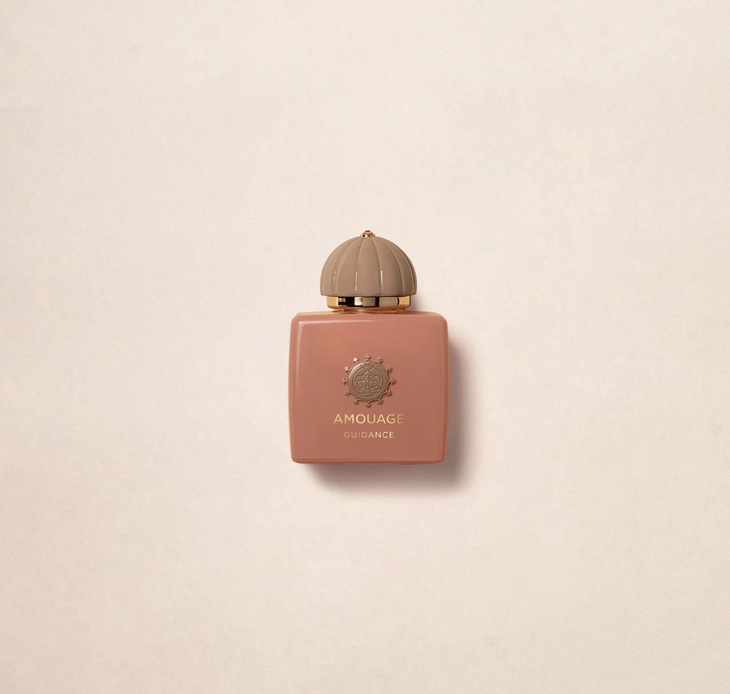 Amouage Guidance