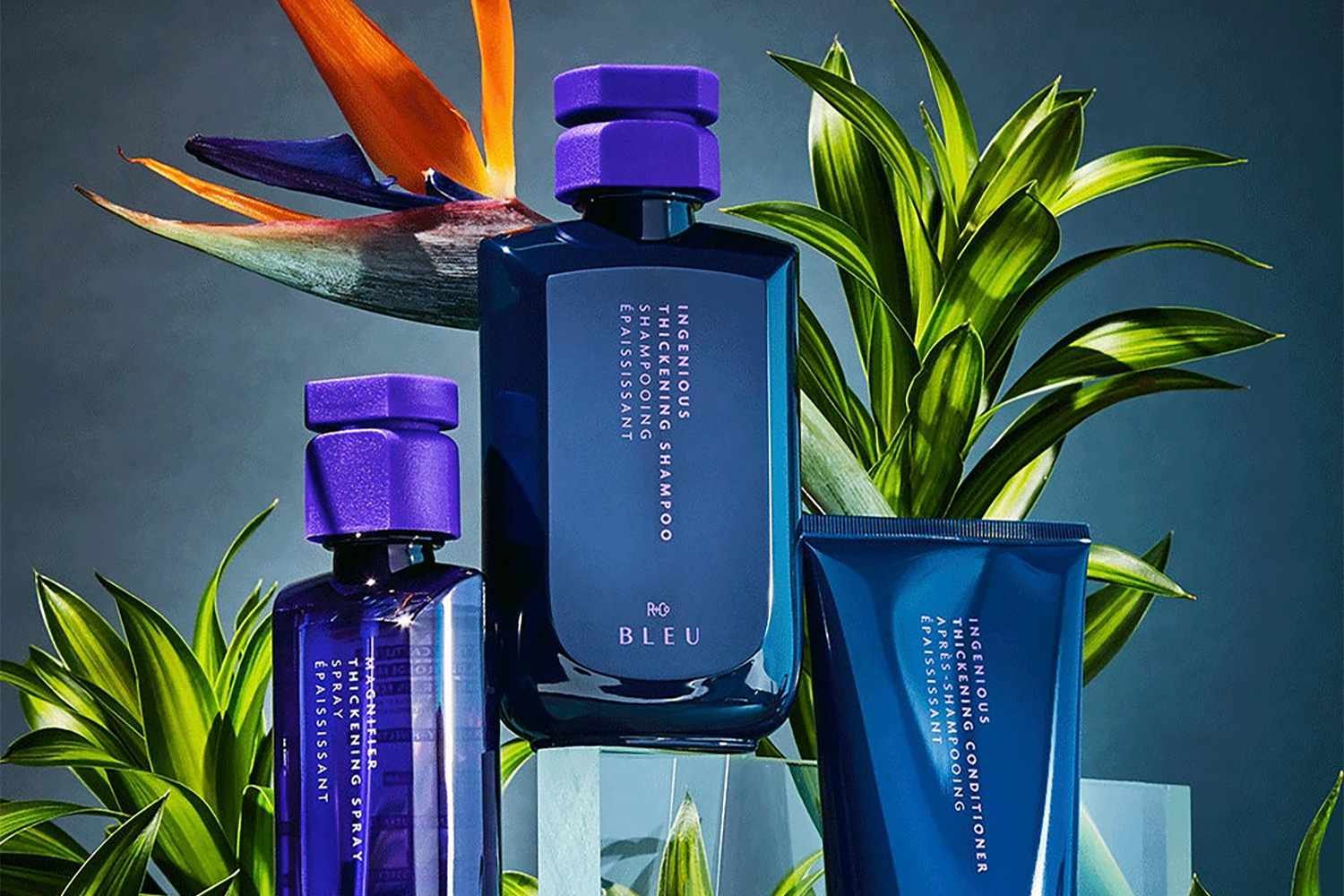INGENIOUS thickener SHAMPOO